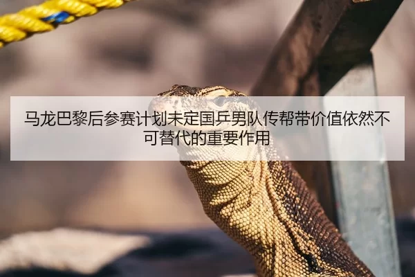马龙巴黎后参赛计划未定国乒男队传帮带价值依然不可替代的重要作用